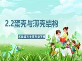 蘇教版（2017）科學(xué)五下 2.6《蛋殼與薄殼結(jié)構(gòu)》課件