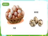 蘇教版（2017）科學(xué)五下 2.6《蛋殼與薄殼結(jié)構(gòu)》課件