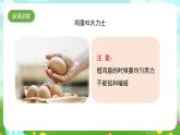 蘇教版（2017）科學(xué)五下 2.6《蛋殼與薄殼結(jié)構(gòu)》課件