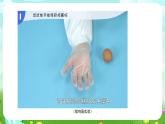 蘇教版（2017）科學(xué)五下 2.6《蛋殼與薄殼結(jié)構(gòu)》課件