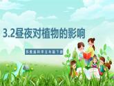 苏教版（2017）科学五下 3.10《昼夜对植物的影响》课件