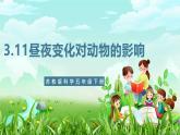 苏教版（2017）科学五下 3.11《昼夜对动物的影响》课件