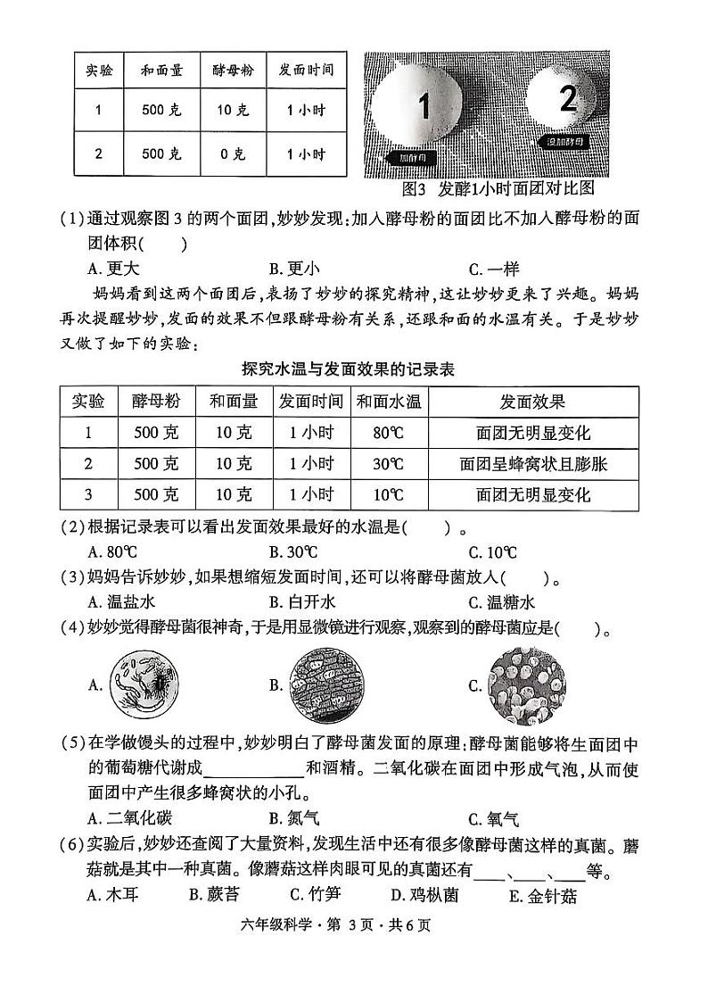 盘州市2024-2025学年六年级上学期科学期末试卷第3页