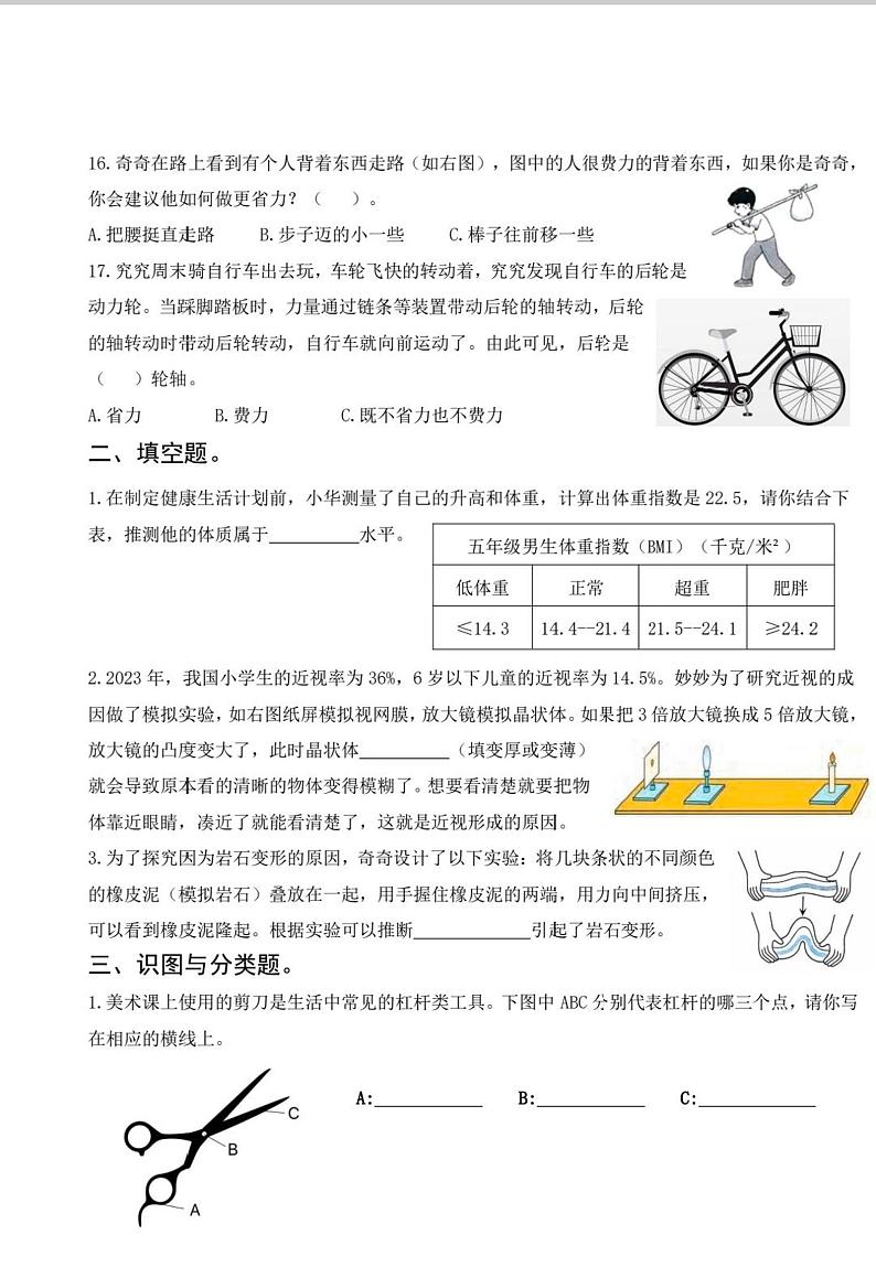 河南省郑州市金水区2024-2025学年五年级上学期期末科学试题第3页