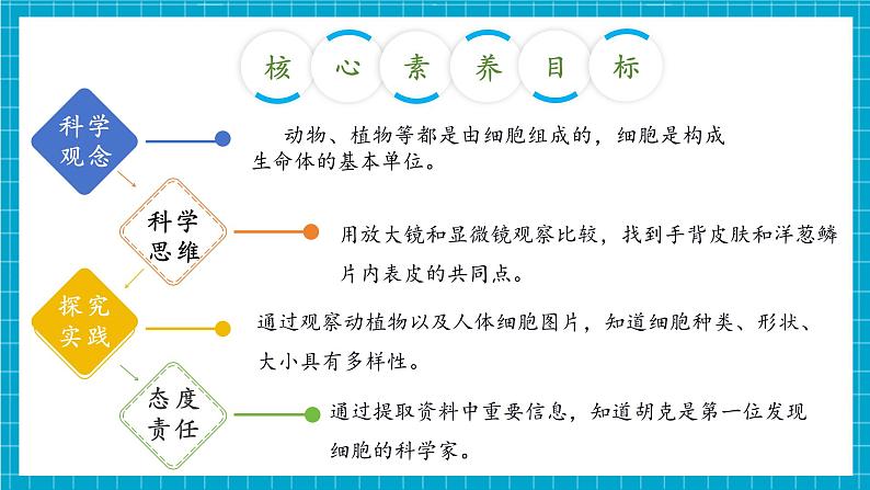 【大单元整体教学】1.1《搭建生命体的“积木”》课时课件第3页