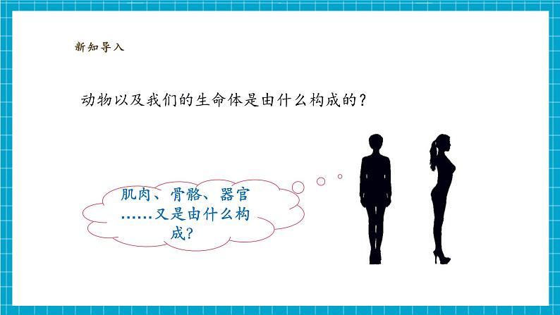 【大单元整体教学】1.1《搭建生命体的“积木”》课时课件第4页