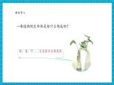 【核心素養(yǎng)優(yōu)質(zhì)課】蘇教版科學(xué)五下第1課《搭建生命體的“積木”》教學(xué)課件+同步教案+大單元教學(xué)設(shè)計(jì)+素材