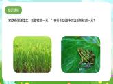 青島版六三制（2017）科學六年級下冊 第7課《動物行為與環(huán)境變化》課件+教案+素材