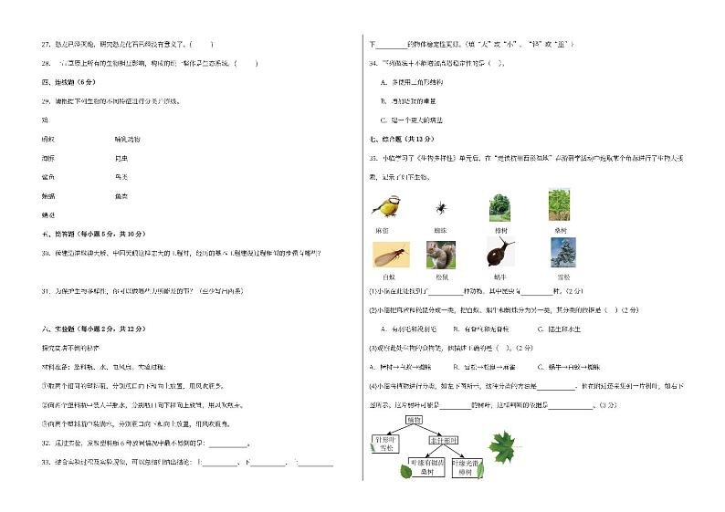教科版（2017）六年级下册科学期中测试卷（pdf，后附答案）第2页