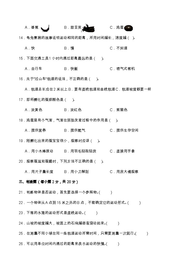 教科版（2017）三年级下册科学期中测试卷（A4，后附答案）第2页