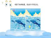 教科版小学科学二年级下册 2.3观察与比较教学设计+课件