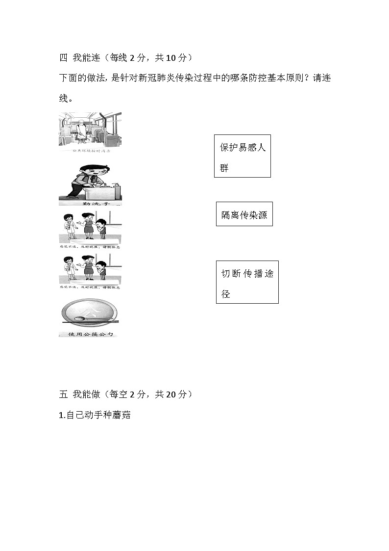 （湘科版）小学科学五年级下册第二单元测试题（含答案）第3页