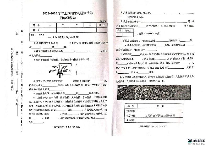 河南省新乡市卫辉市2024-2025学年四年级上学期期末调研科学试卷第1页