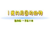 小學(xué)科學(xué)新教科版一年級下冊第二單元第1課《我們周圍的動物》教學(xué)課件2025春