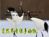 小學(xué)科學(xué)新教科版一年級下冊第二單元第1課《我們周圍的動物》教學(xué)課件2025春