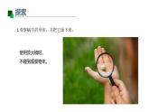 小學(xué)科學(xué)新教科版一年級(jí)下冊(cè)第二單元第2課《觀察一種動(dòng)物》教學(xué)課件2025春