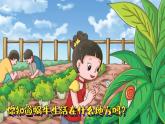 小學(xué)科學(xué)新教科版一年級(jí)下冊(cè)第二單元第3課《給蝸牛建個(gè)“家”》教學(xué)課件2025春