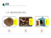 小學(xué)科學(xué)新教科版一年級(jí)下冊(cè)第二單元第3課《給蝸牛建個(gè)“家”》教學(xué)課件2025春