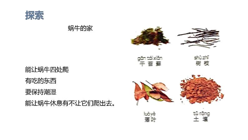 小学科学新教科版一年级下册第二单元第3课《给蜗牛建个“家”》教学课件2025春第5页