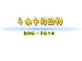 小學(xué)科學(xué)新教科版一年級下冊第二單元第4課《水中的動物》教學(xué)課件2025春
