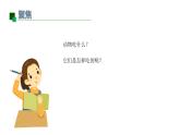小學(xué)科學(xué)新教科版一年級(jí)下冊(cè)第二單元第5課《它們吃什么》教學(xué)課件2025春