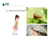 小學(xué)科學(xué)新教科版一年級(jí)下冊(cè)第二單元第5課《它們吃什么》教學(xué)課件2025春