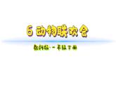 小學(xué)科學(xué)新教科版一年級下冊第二單元第6課《動物聯(lián)歡會》教學(xué)課件2025春