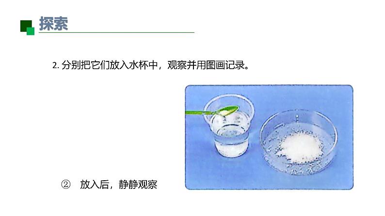 小学科学新教科版一年级下册第一单元第7课《它们去哪里了》教学课件2025春第7页