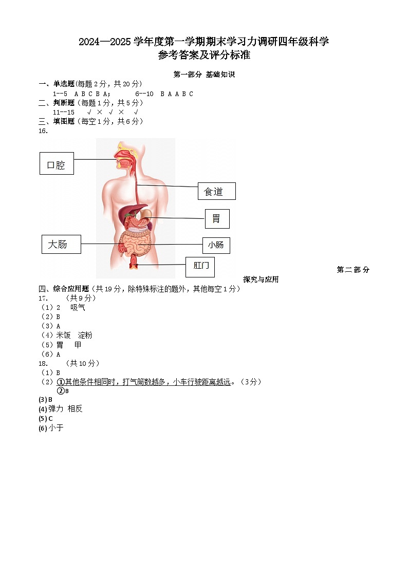 2024—2025学年度第一学期期末学习力调研四年级科学参考答案及评分标准第1页