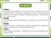 【核心素养】2.2《认识其他动物的卵》课件+教案（教科版科学三下）