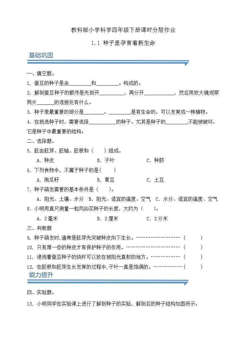 【备课无忧】教科版四下-1.1 种子里孕育着新生命（作业）第1页