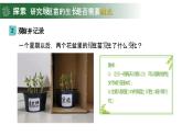 【核心素养】1.3《绿豆苗的生长》课件+教案（教科版科学五年级下册）