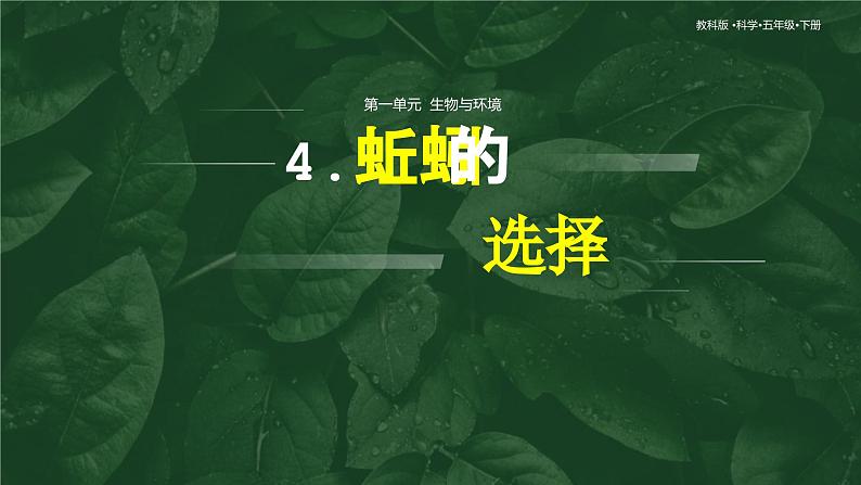 1.4 蚯蚓的选择（教学课件）（教科版）第1页