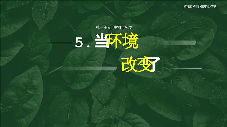 1.5 当环境改变了（教学课件）（教科版）第1页