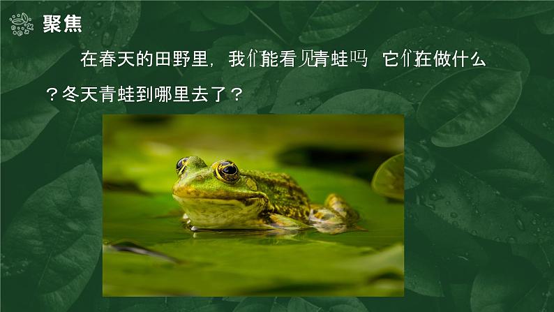 1.5 当环境改变了（教学课件）（教科版）第2页