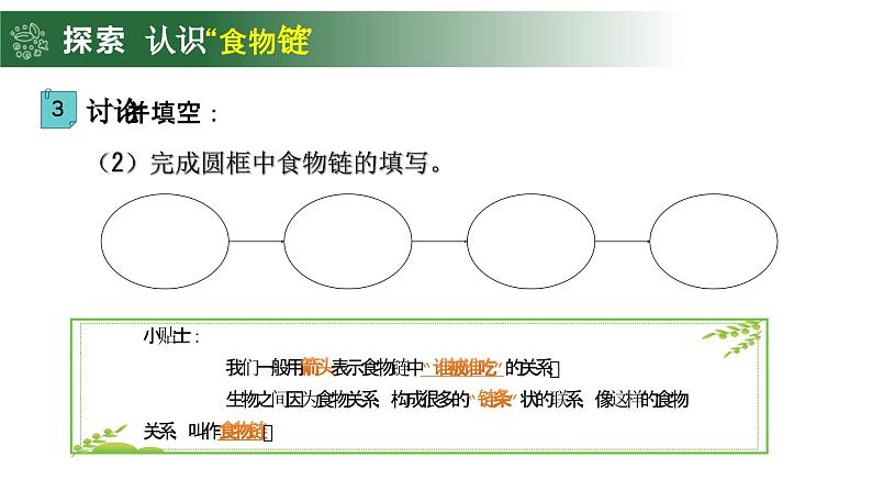 1.6 食物链和食物网（教学课件）（教科版）第6页