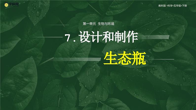 1.7 设计和制作生态瓶（教学课件）（教科版）第1页