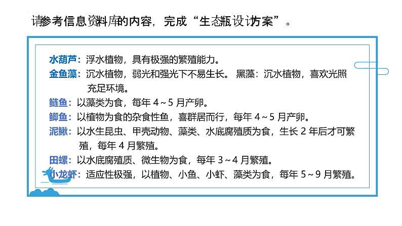 1.7 设计和制作生态瓶（教学课件）（教科版）第8页