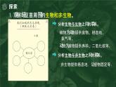 【核心素养】1.7《设计和制作生态瓶》课件+教案（教科版科学五年级下册）