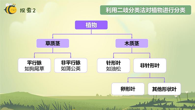 2.2 制作校园生物分布图（教学课件）（教科版）第8页