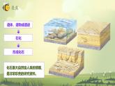 【核心素养】2.6《古代生物的多样性》课件+教案（教科版科学六年级下册）