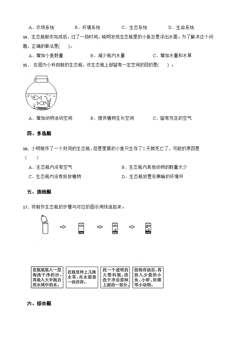 教科版科学五年级下册第1单元 7《设计和制作生态瓶》同步练习（含解析）第2页