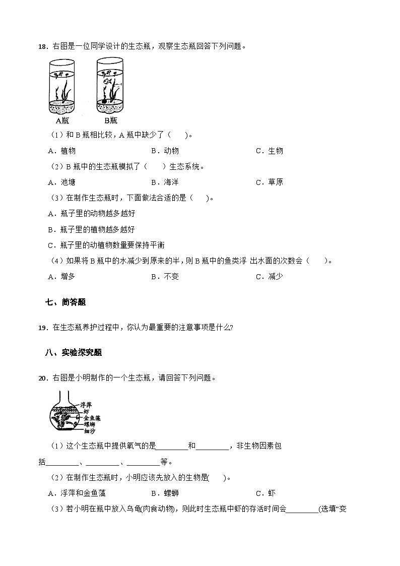 教科版科学五年级下册第1单元 7《设计和制作生态瓶》同步练习（含解析）第3页