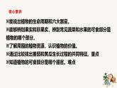 【核心素養(yǎng)】蘇教版科學(xué)三年級(jí)下冊(cè) 4《植物結(jié)果了》課件PPT+教案