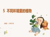 【核心素養(yǎng)】蘇教版科學(xué)三年級下冊 5《不同環(huán)境里的植物》課件PPT+教案