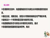 【核心素養(yǎng)】蘇教版科學(xué)三年級下冊 5《不同環(huán)境里的植物》課件PPT+教案