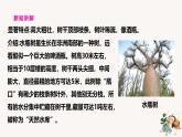 【核心素養(yǎng)】蘇教版科學(xué)三年級下冊 5《不同環(huán)境里的植物》課件PPT+教案