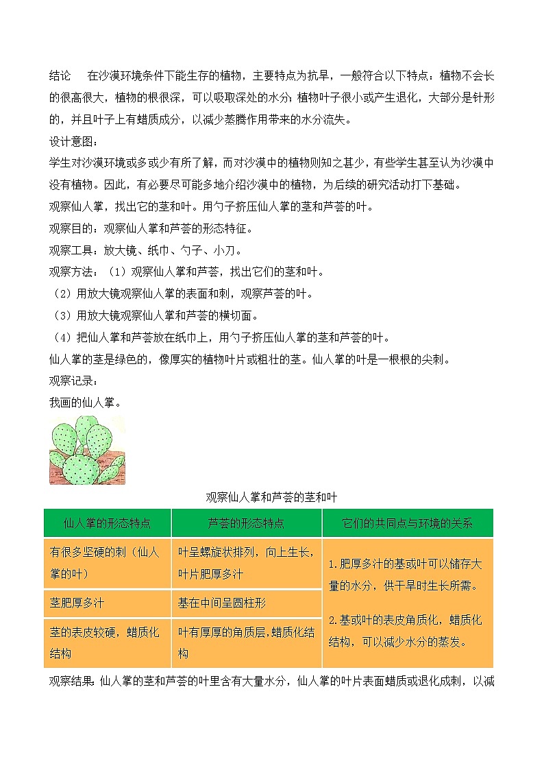 第6课 沙漠中的植物（教学设计）（苏教版）第3页