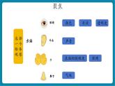 【大单元核心素养】教科版科学一年级下册1.1 观察物体的特征（教学课件+同步教学设计）