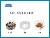 【新教材核心素养】教科版科学一年级下册1.7 它们去哪里了（教学课件+同步教学设计）